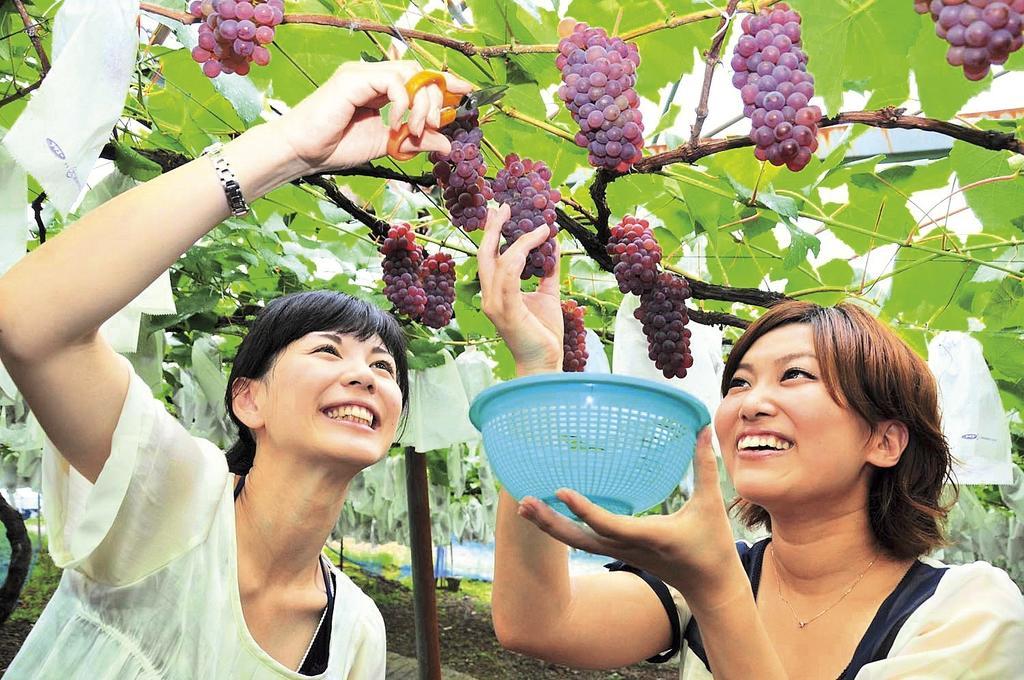青莲寺湖大酒店 名张 外观 照片